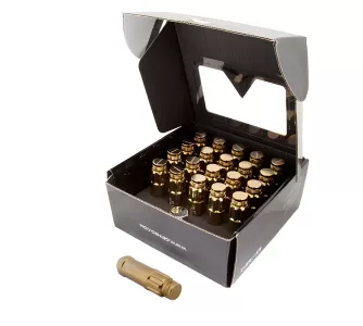 Universal (12 x 1.25) (20 Lug Nut Set) (Gold) (Locking)